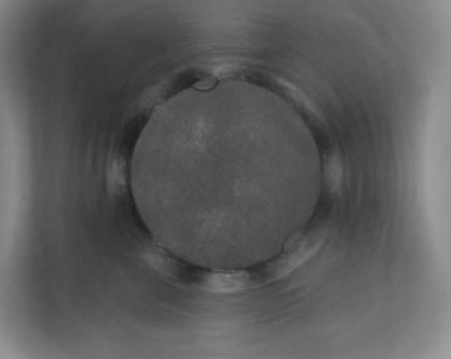 X0000110760571200906291030