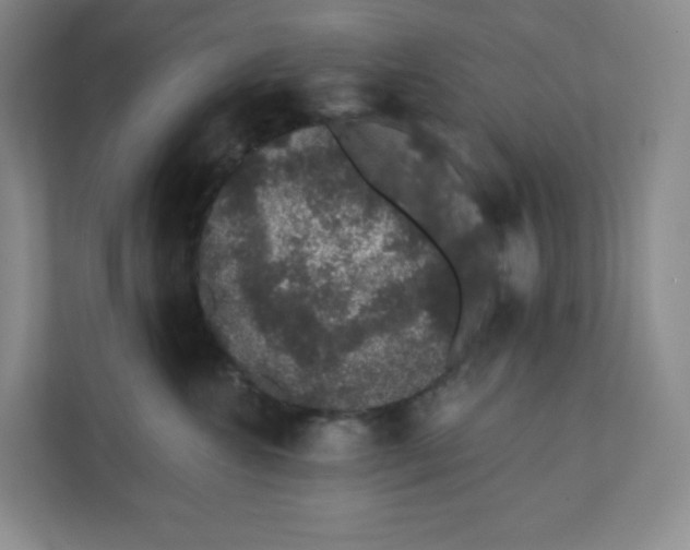 X0000110760572200906291030