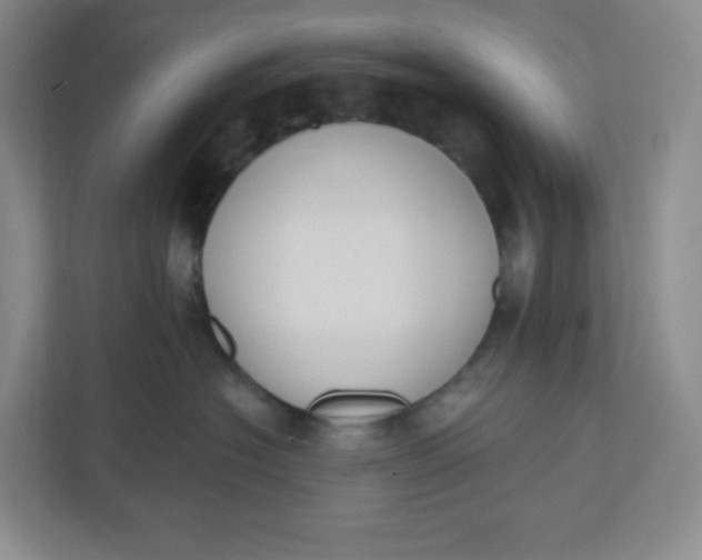 X0000110760574200906291030