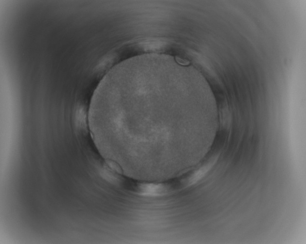 X0000110760575200906291030