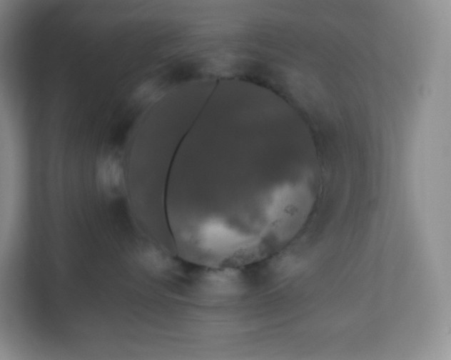 X0000110760576200906291030
