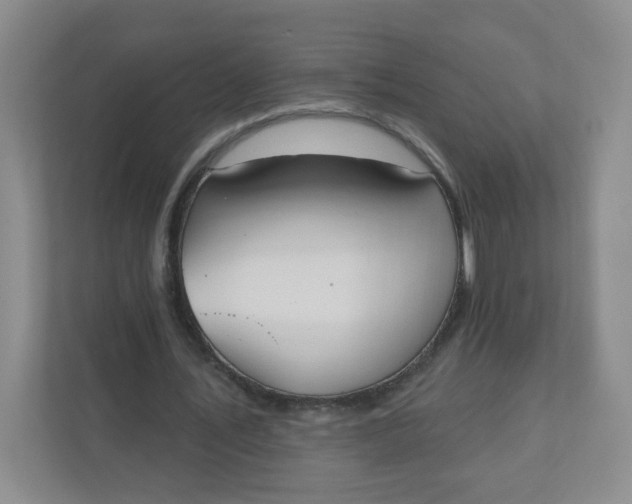 X0000110760579200906291030