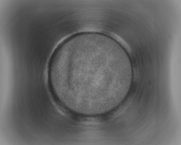 X0000110760580200906291030