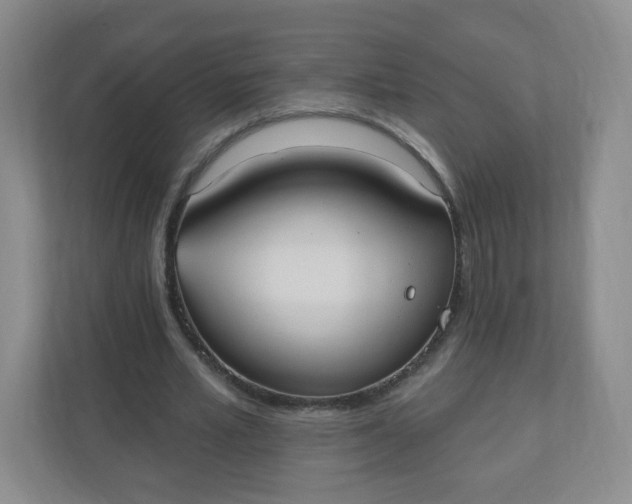 X0000110760581200906291030