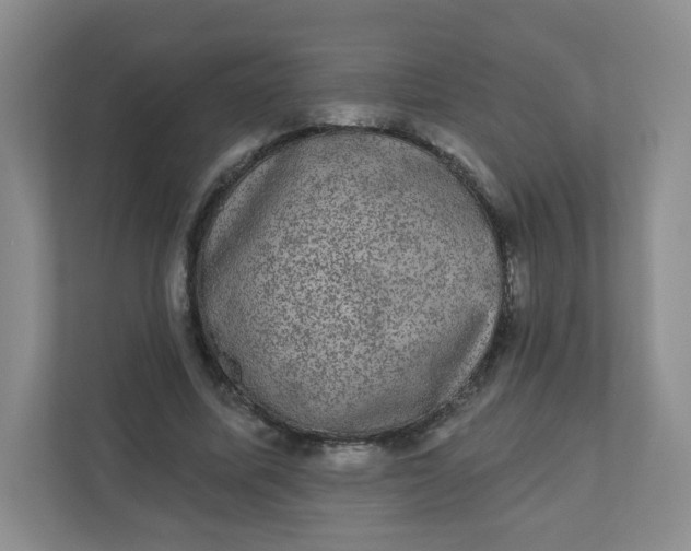 X0000110760587200906291030