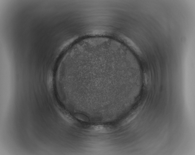 X0000110760588200906291030