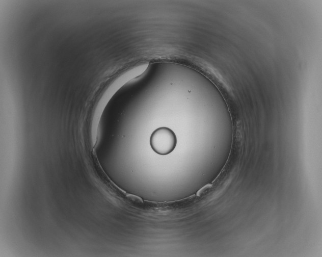 X0000110760589200906291030