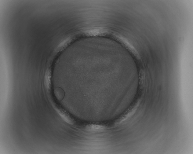 X0000110760590200906291030