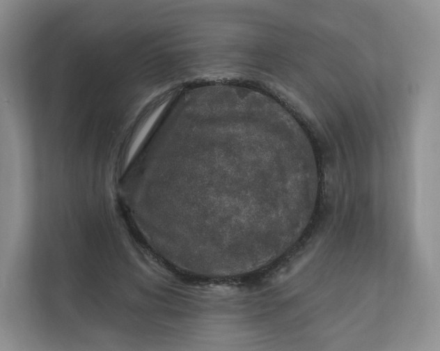 X0000110760592200906291030