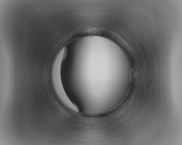 X0000110760593200906291030