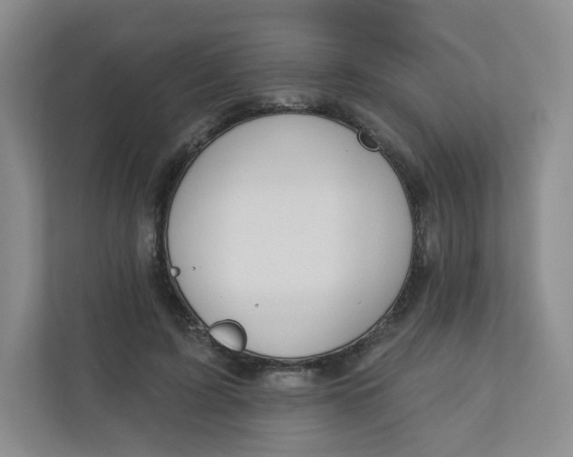 X0000110760595200906291030