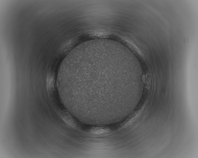 X0000110760597200906291029