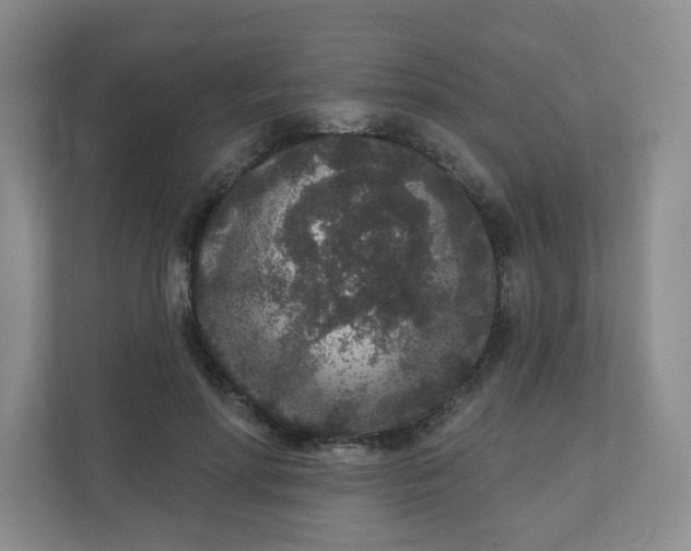 X0000110760598200906291029