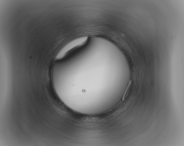 X0000110760599200906291029
