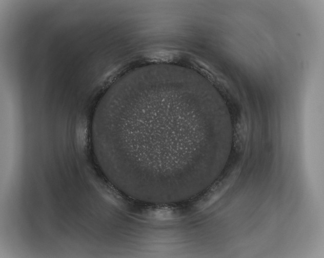 X0000110760600200906291029