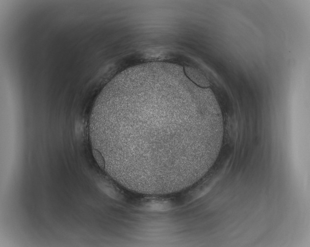 X0000110760601200906291029