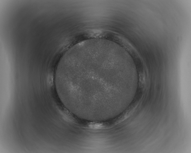 X0000110760602200906291029