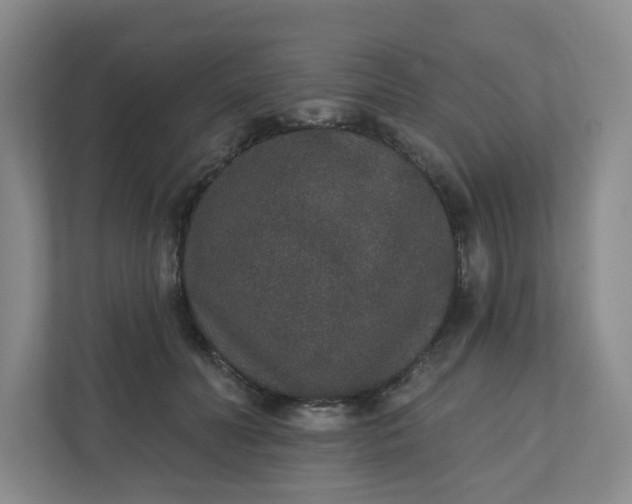 X0000110760606200906291029