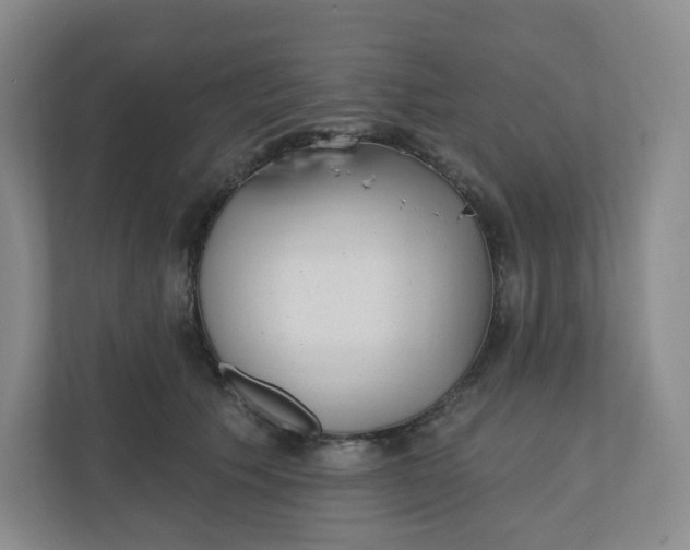 X0000110760609200906291029