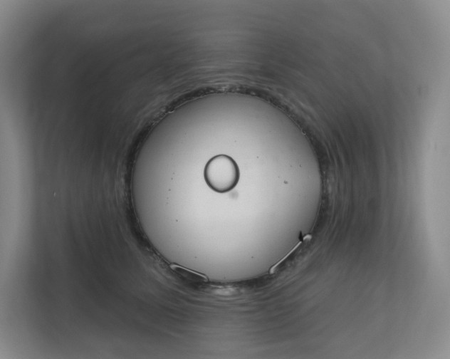 X0000110760611200906291029