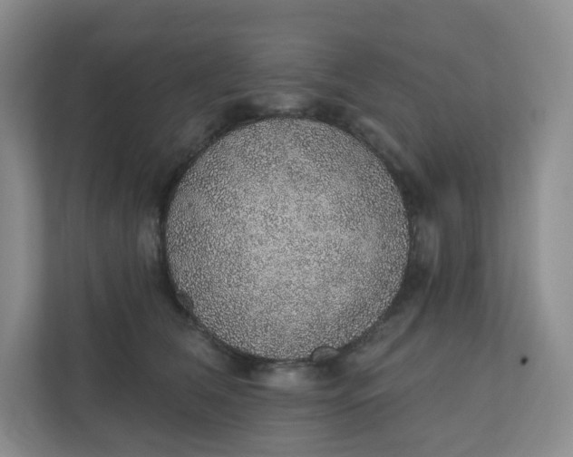 X0000110760612200906291029