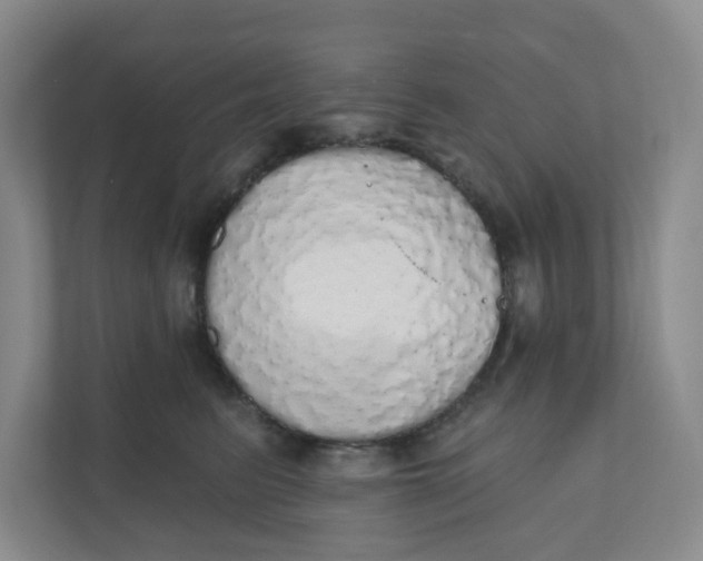 X0000110760615200906291029