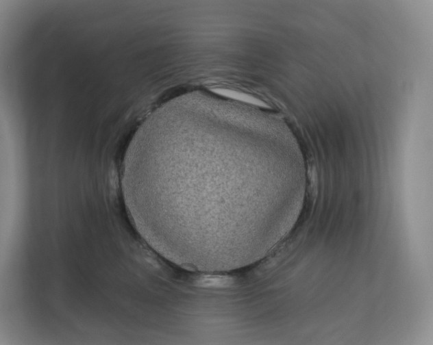 X0000110760617200906291029
