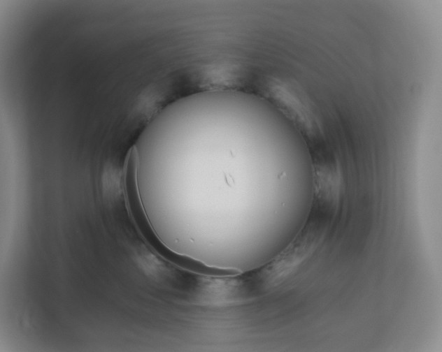 X0000110760621200906291029