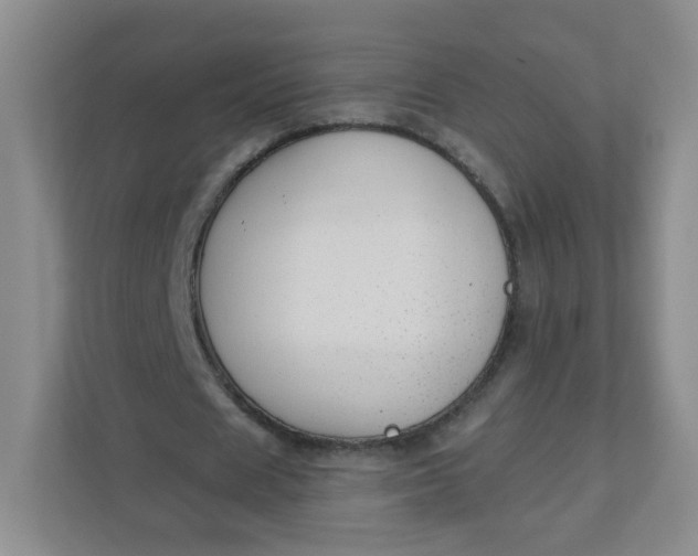 X0000110760625200906291029