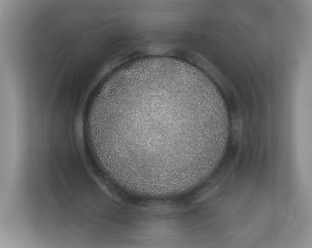 X0000110760626200906291029