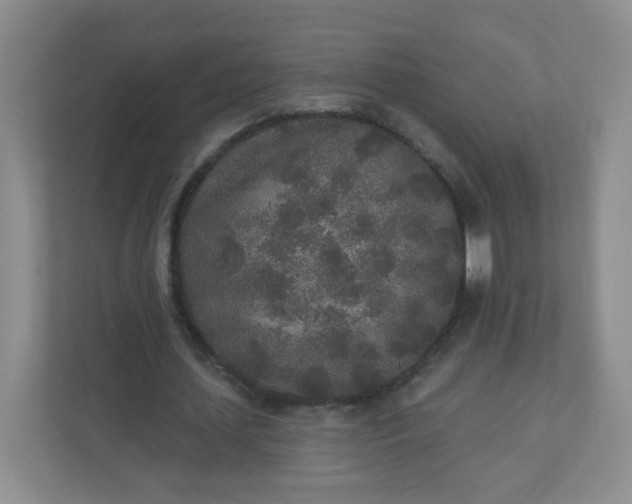 X0000110760627200906291029