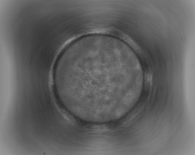 X0000110760628200906291029