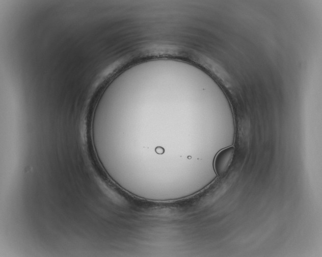 X0000110760629200906291029