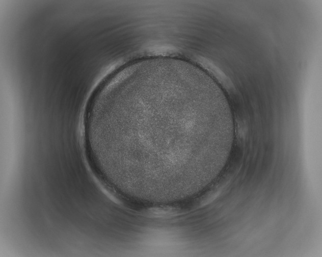 X0000110760630200906291029