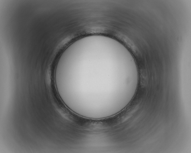 X0000110760631200906291029
