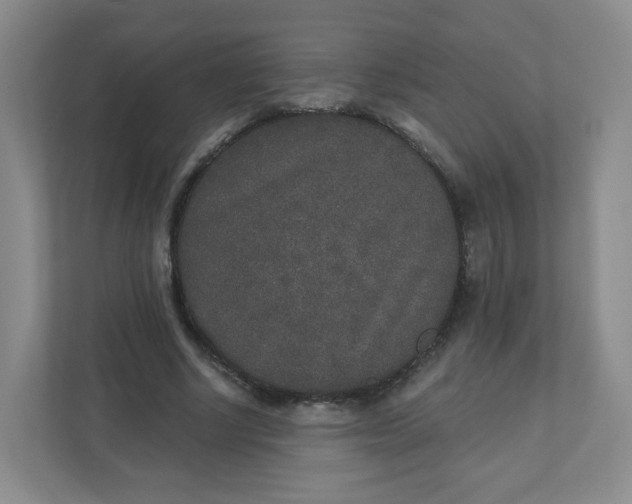 X0000110760634200906291029