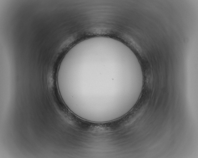 X0000110760635200906291029