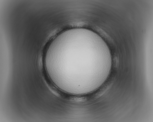 X0000110760638200906291029