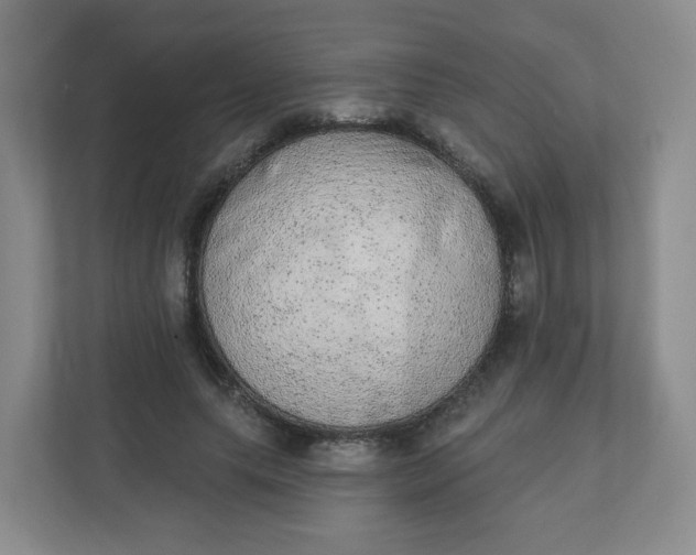 X0000110760639200906291029