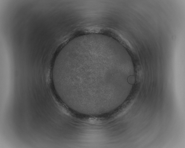 X0000110760641200906291029