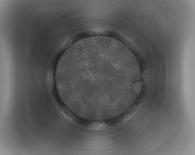 X0000110760642200906291029