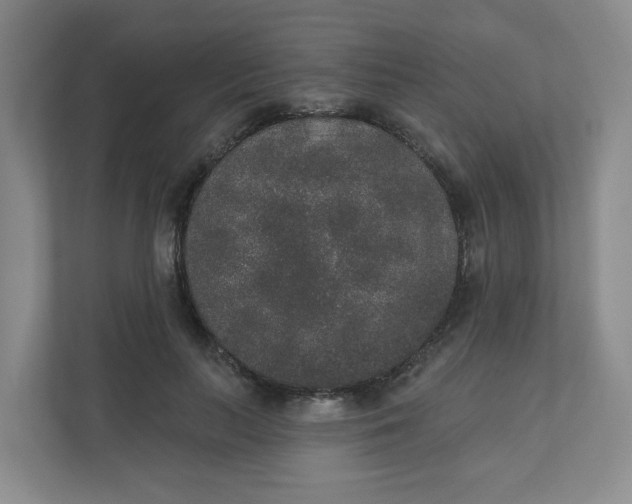 X0000110760647200906291029