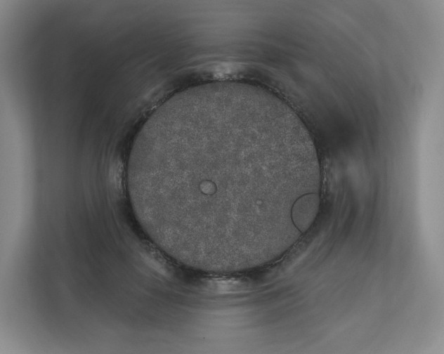 X0000110760650200906291029