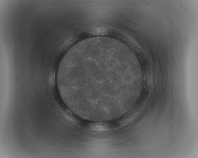 X0000110760652200906291029