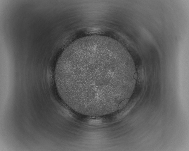 X0000110760653200906291029