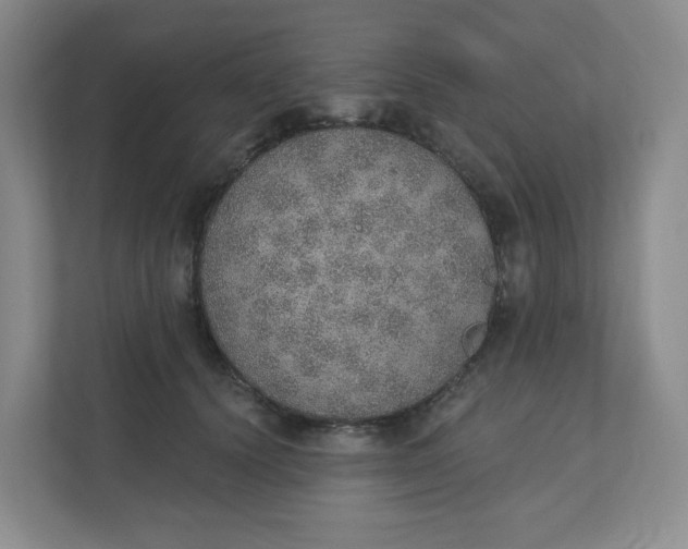 X0000110760656200906291029