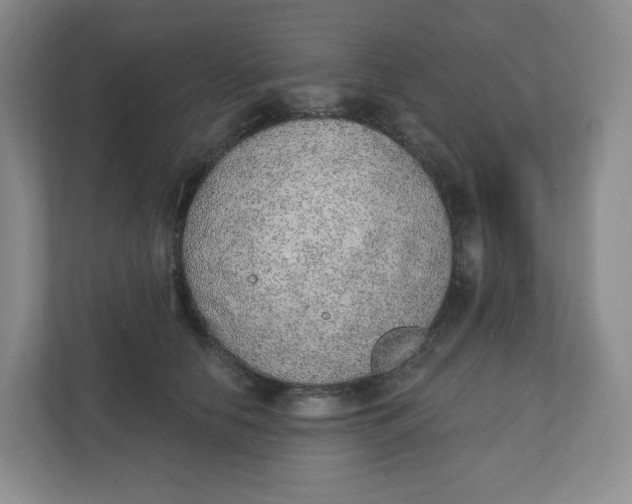 X0000110760658200906291029