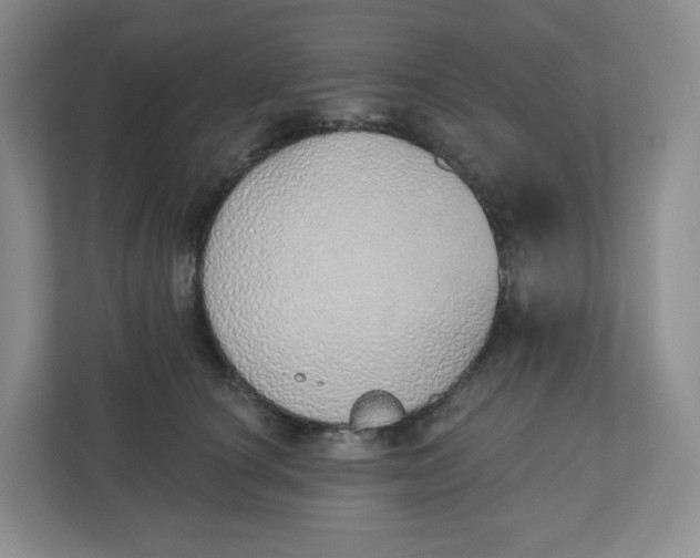 X0000110760660200906291029
