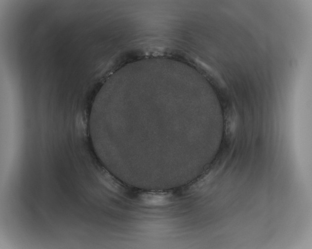X0000110760661200906291029
