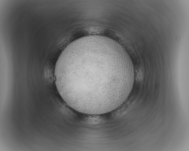 X0000110760666200906291029